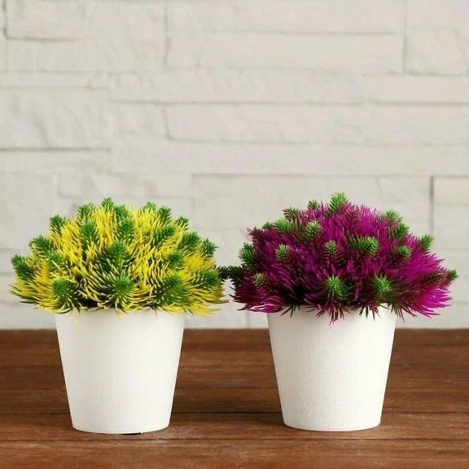 Бонсай в горшке "Пушистые иголки" 10х11 см, микс  5201991