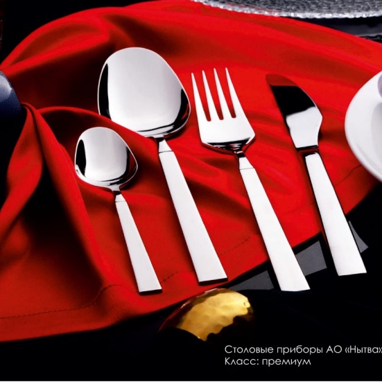 Вилка столовая нерж. "Астра" КОМПЛЕКТ 3ШТ на подвеске "garde" (Нытва) *1/50 Вилка столовая нерж. "Астра" КОМПЛЕКТ 3ШТ на подвеске "garde" (Нытва) *1/50