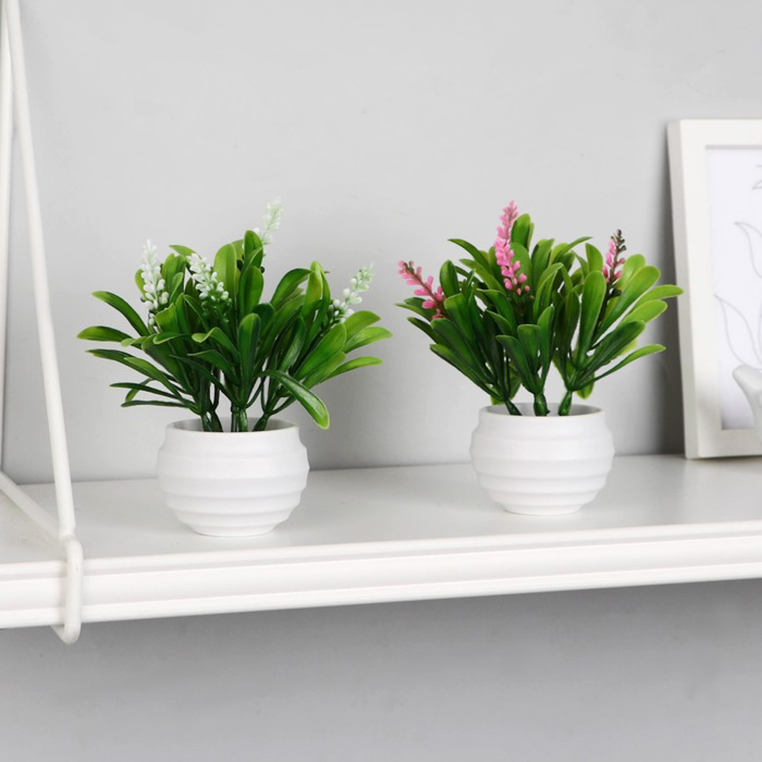 Бонсай в горшке "Гадючий лук" 5,5х10 см, микс 9789741