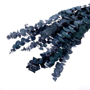 Сухоцвет Эвкалиптовое дерево, голубой, 10 шт в упаковке   7749571