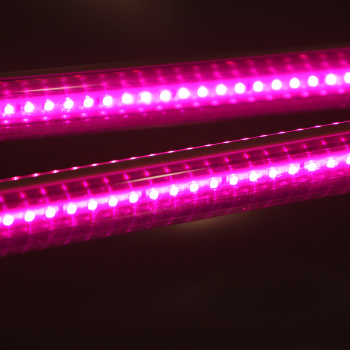 Фитосветильник светодиодный Smartbuy, 12 Вт, фиолетовый свет, IP20 Фитосветильник светодиодный Smartbuy, 12 Вт, фиолетовый свет, IP20