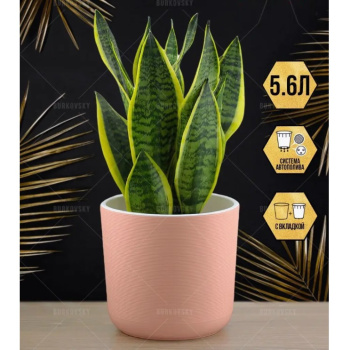 Кашпо пластм. "Лион"  5,6л d верха 210мм h195мм со вставкой Розовый-вереск ЛИ21-20 *1/4