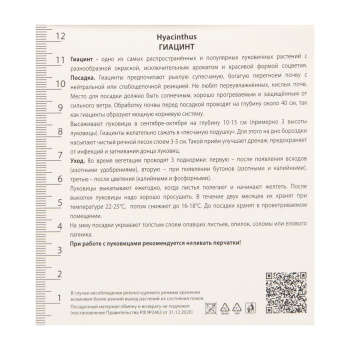 Гиацинт Садовый Блу Перл 14-15/3шт