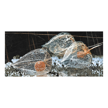 Плитка настенная Intercerama Fancy физалис, 500х230х8 мм, черный Плитка настенная Intercerama Fancy физалис, 500х230х8 мм, черный