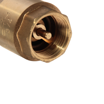 Обратный клапан 3/4"(Ø20) М/М CTM CBCVB034 (с латунным штоком) *1/25