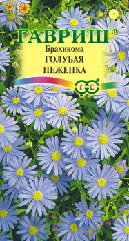 Семена Брахикома Голубая неженка 0,05гр Гавриш *10/200 Семена Брахикома Голубая неженка 0,05гр Гавриш *10/200
